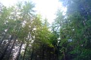 Image of property