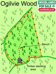 Image of property