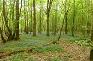 Image of property
