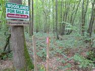 Image of property