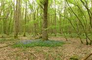 Image of property