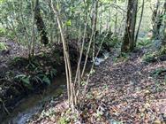 Image of property