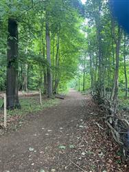 Image of property