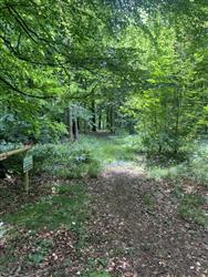 Image of property