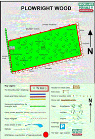 Image of property