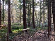 Image of property