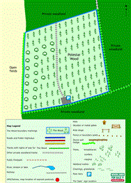 Image of property
