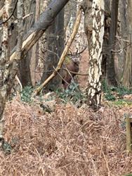 Click to view more details