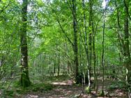 Image of property