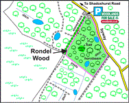 Image of property