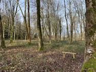 Click to view more details