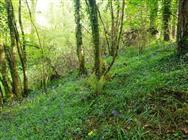 Image of property