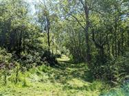 Image of property