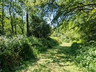 Image of property