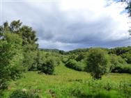 Click to view more details