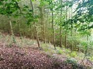 Image of property