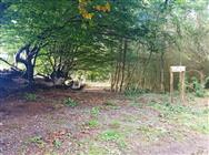 Image of property