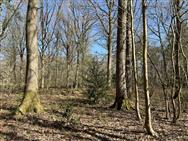 Image of property