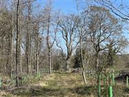 Image of property