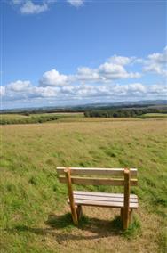 Click to view more details