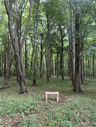 Image of property