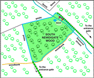 Image of property