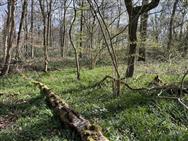 Image of property