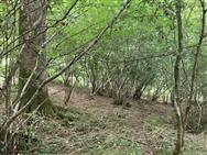 Image of property