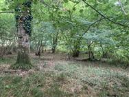 Image of property