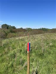 Image of property