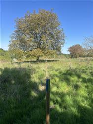 Image of property