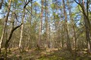 Image of property