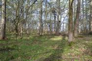 Image of property