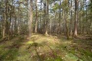 Image of property