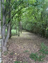 Click to view more details