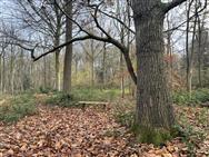 Click to view more details