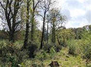 Image of property