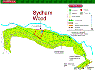 Image of property