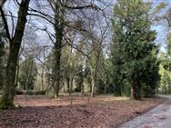 Click to view more details