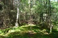 Image of property