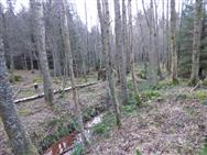 Image of property