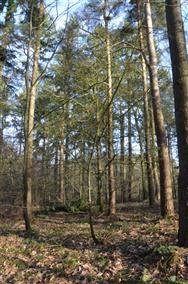 Image of property