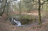 Image of property