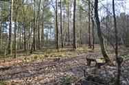 Image of property