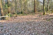 Image of property