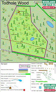 Image of property