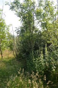 Image of property