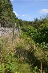 Image of property