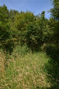 Image of property