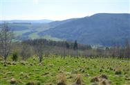 Image of property